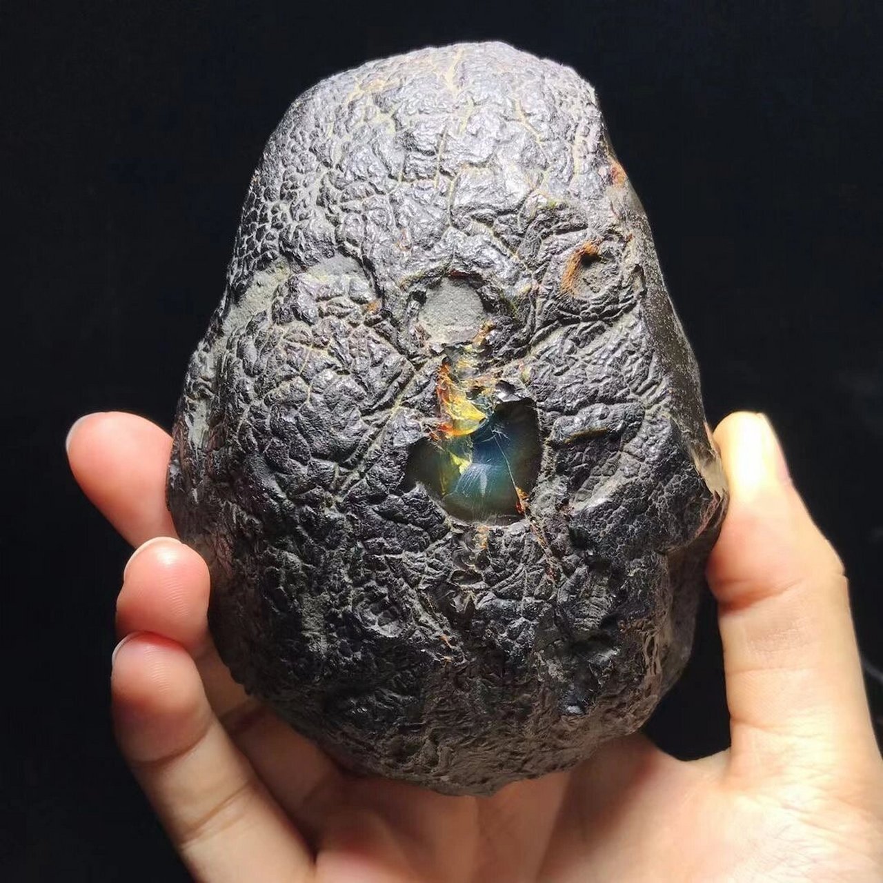 传说中的多米尼加蓝珀,矿区源头来咯 ——多米新货原石—— 多米净水