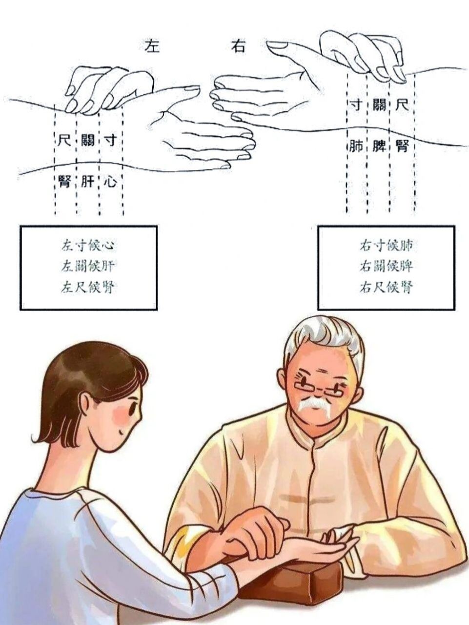 普通人如何跟着中医学把脉7115 把脉的部位一般是寸口脉75 寸口