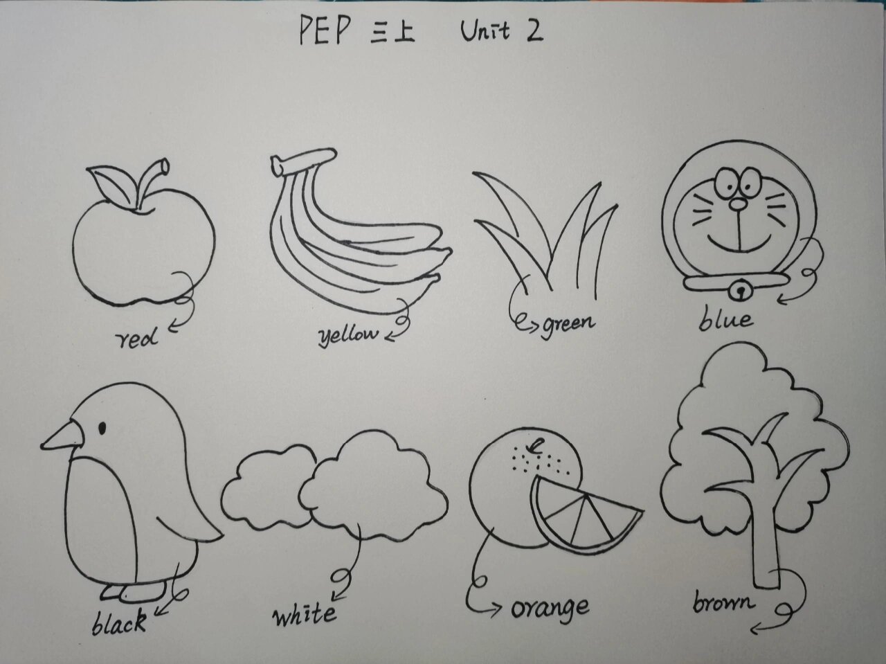 小学pep英语简笔画打卡|三年级上
