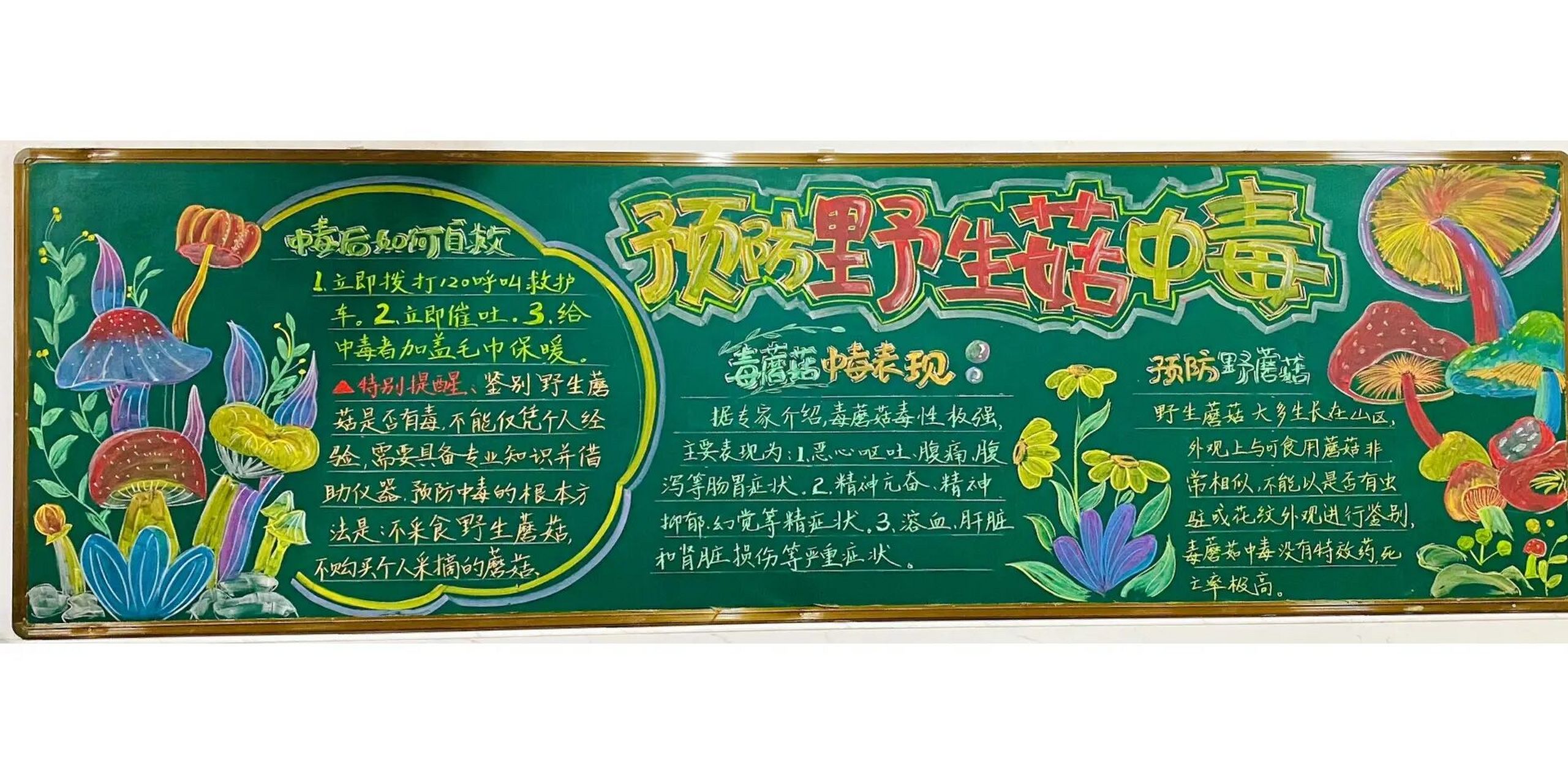 预防野生蘑菇黑板报 找了半天没有贴切的合适的板报可以抄(难过 没