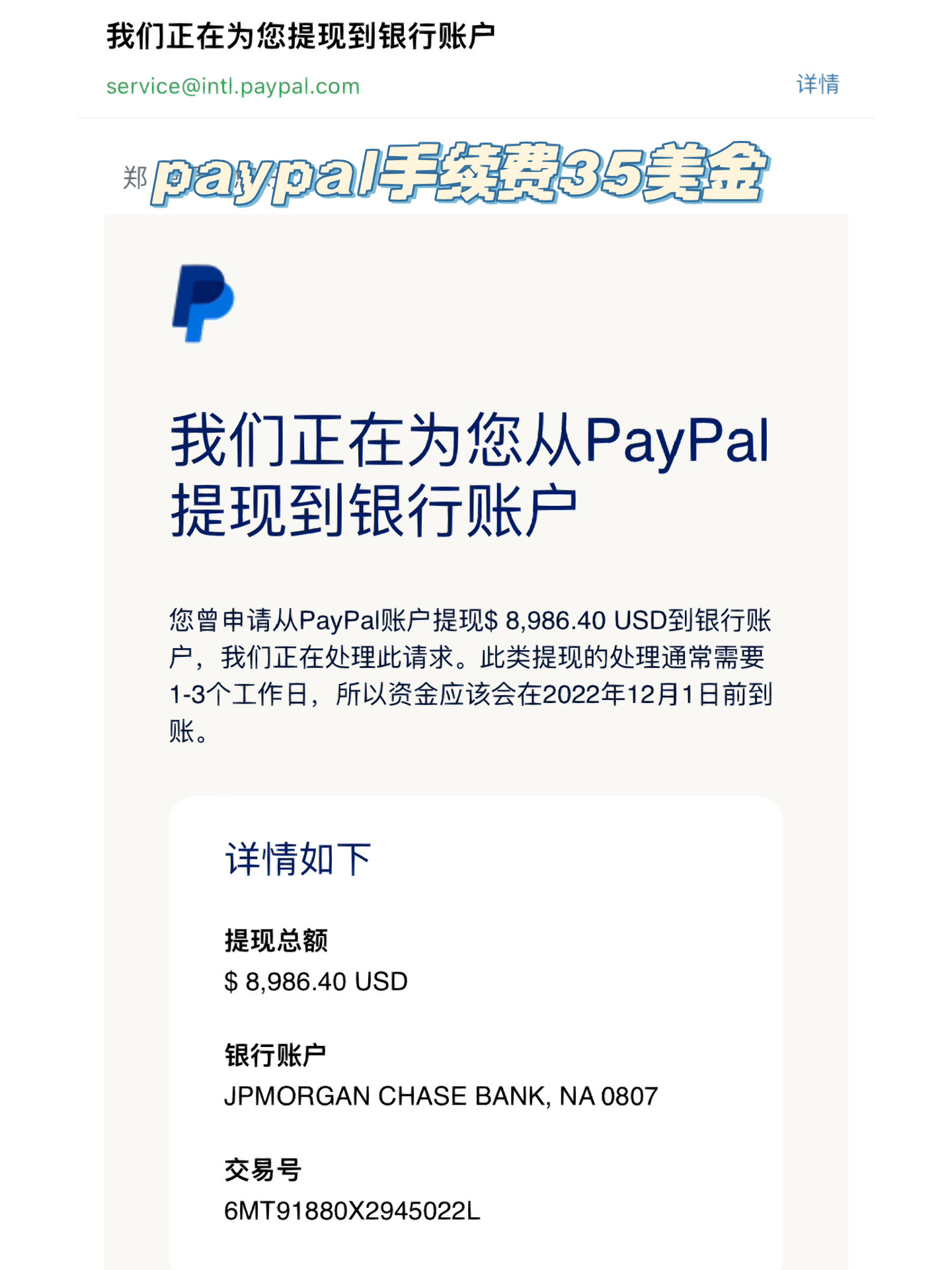 paypal付款截图图片