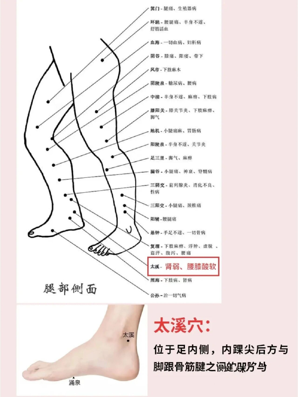 太溪穴的位置 太溪穴的位置在脚踝内侧后跟骨上动脉凹陷处.