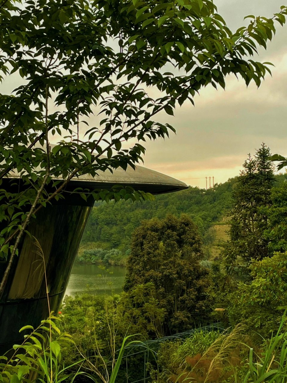 大埔瑞山|看绿吸氧远离人群潮汕周边好去处 6015自驾,汕头出发,2