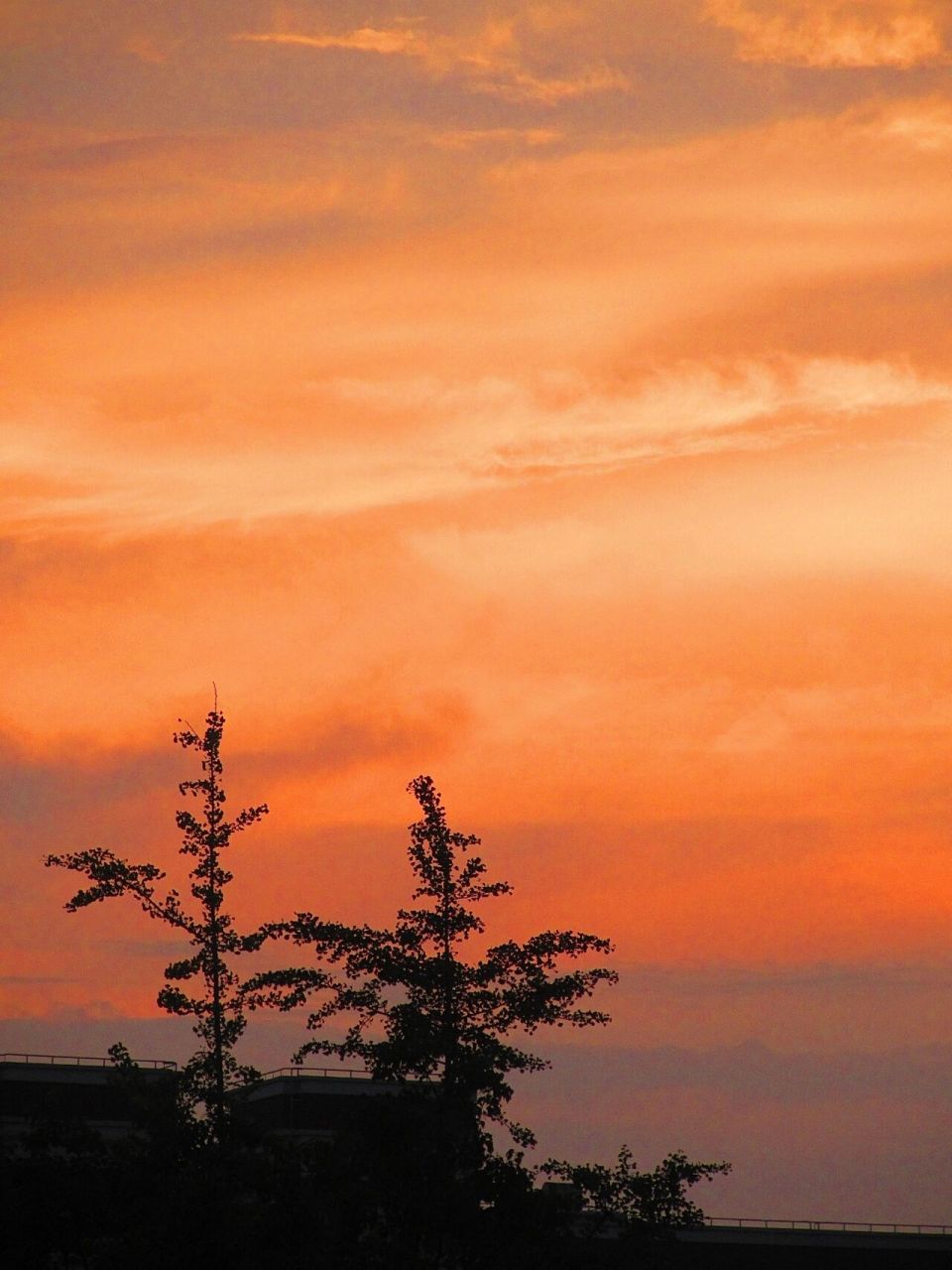 油画棒丨橙色天空 橙色天空 把喜欢的图片画成画,p2是原图,这个比上一