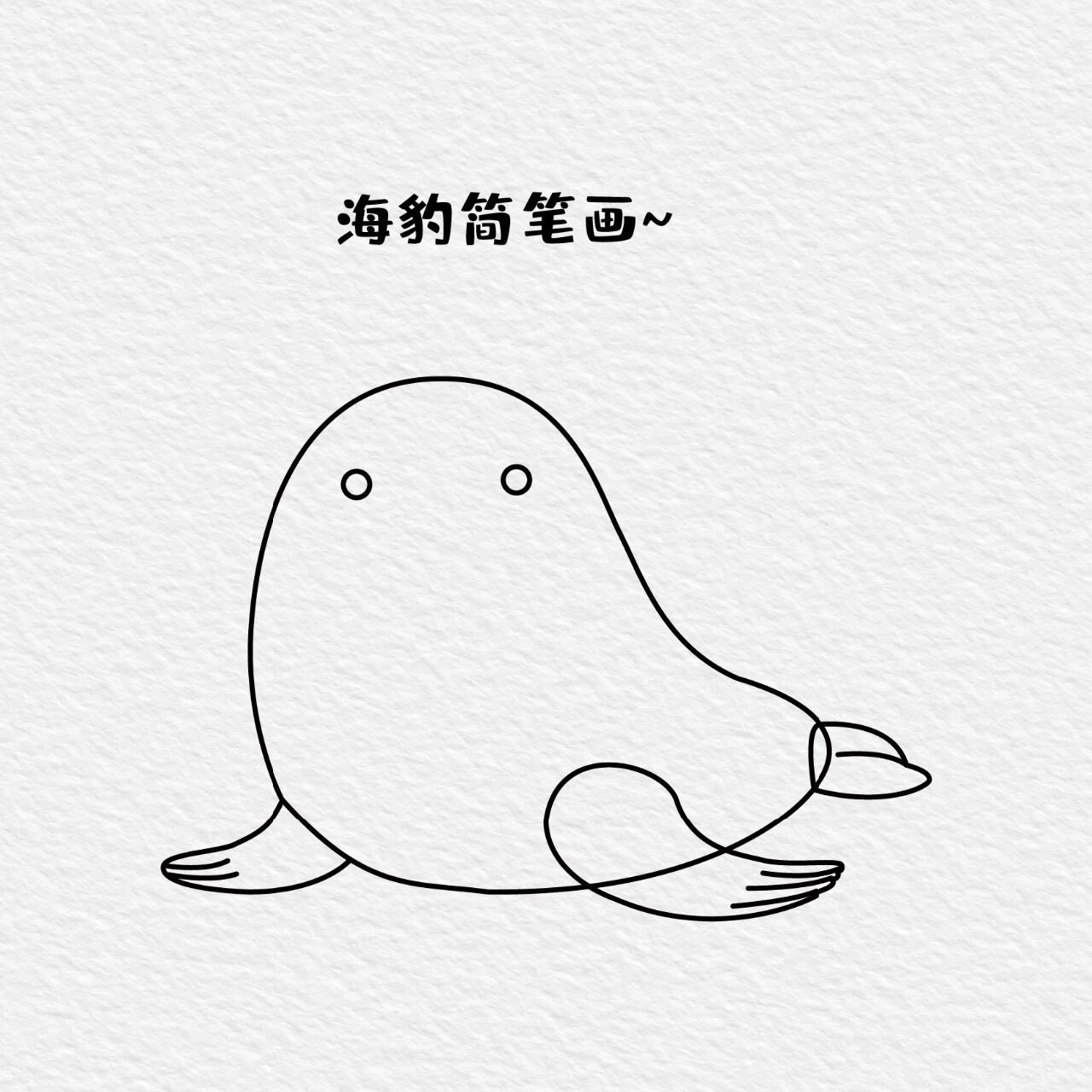 萌萌哒动物系列—海豹简笔画