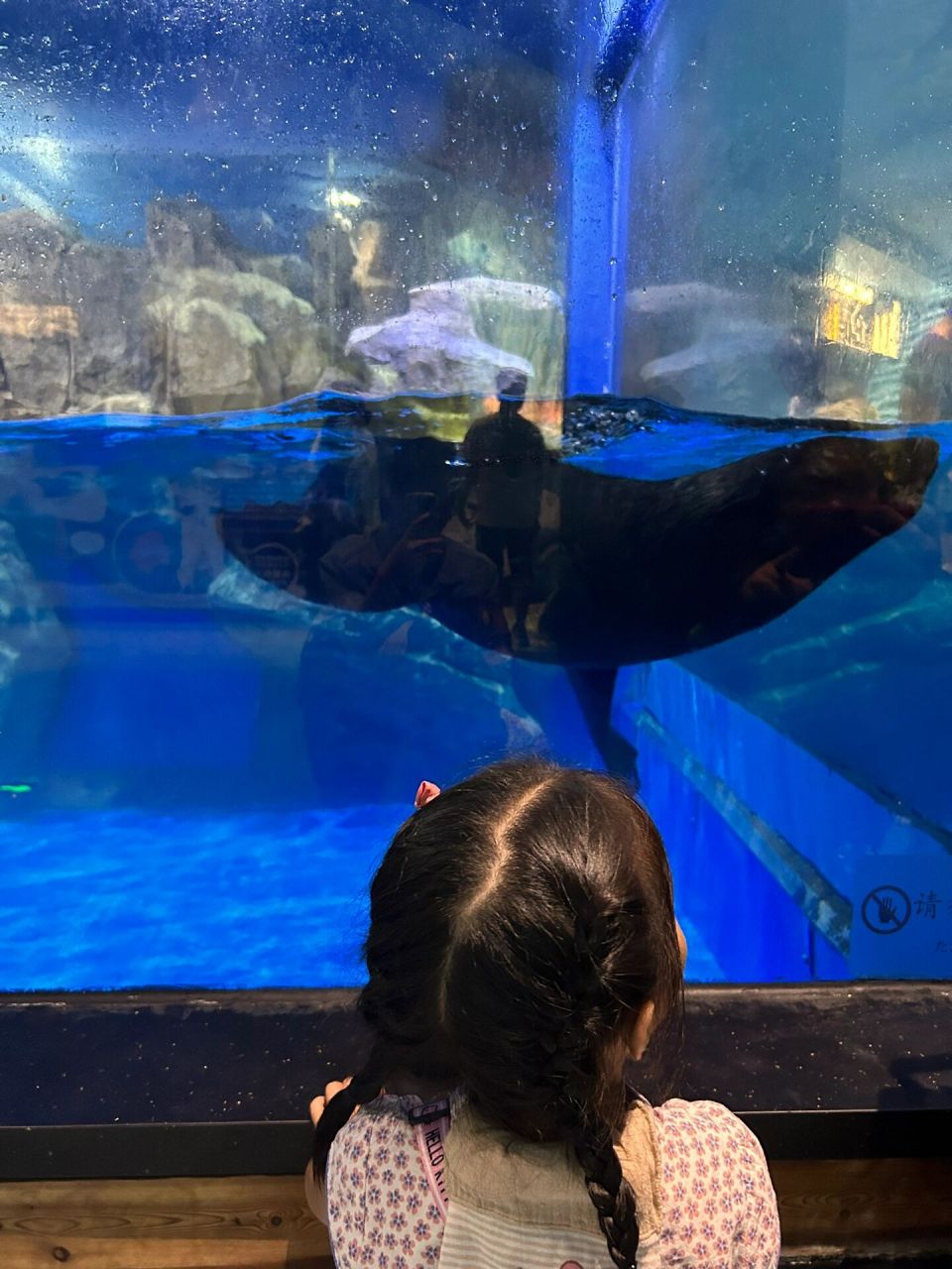 遛娃好去处| 南宁极地海洋世界 在柳州待腻了,不懂带娃去哪儿～海洋馆