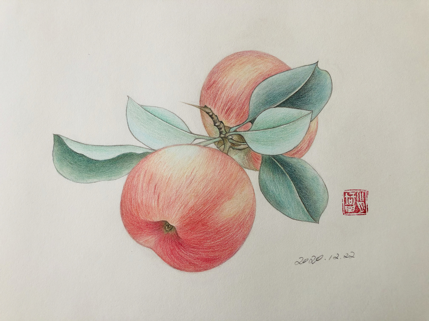 编号444(画于北京东亚奥北),工笔画小品练习; 浪人文化素描纸尺幅:42