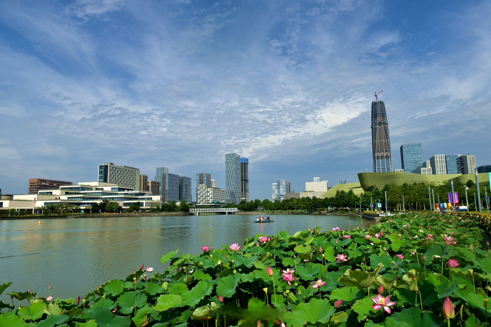 【蓝天白云 荷花蔽日】 #美丽宁波#拍摄于日月湖.(图:宁波特约摄影师 