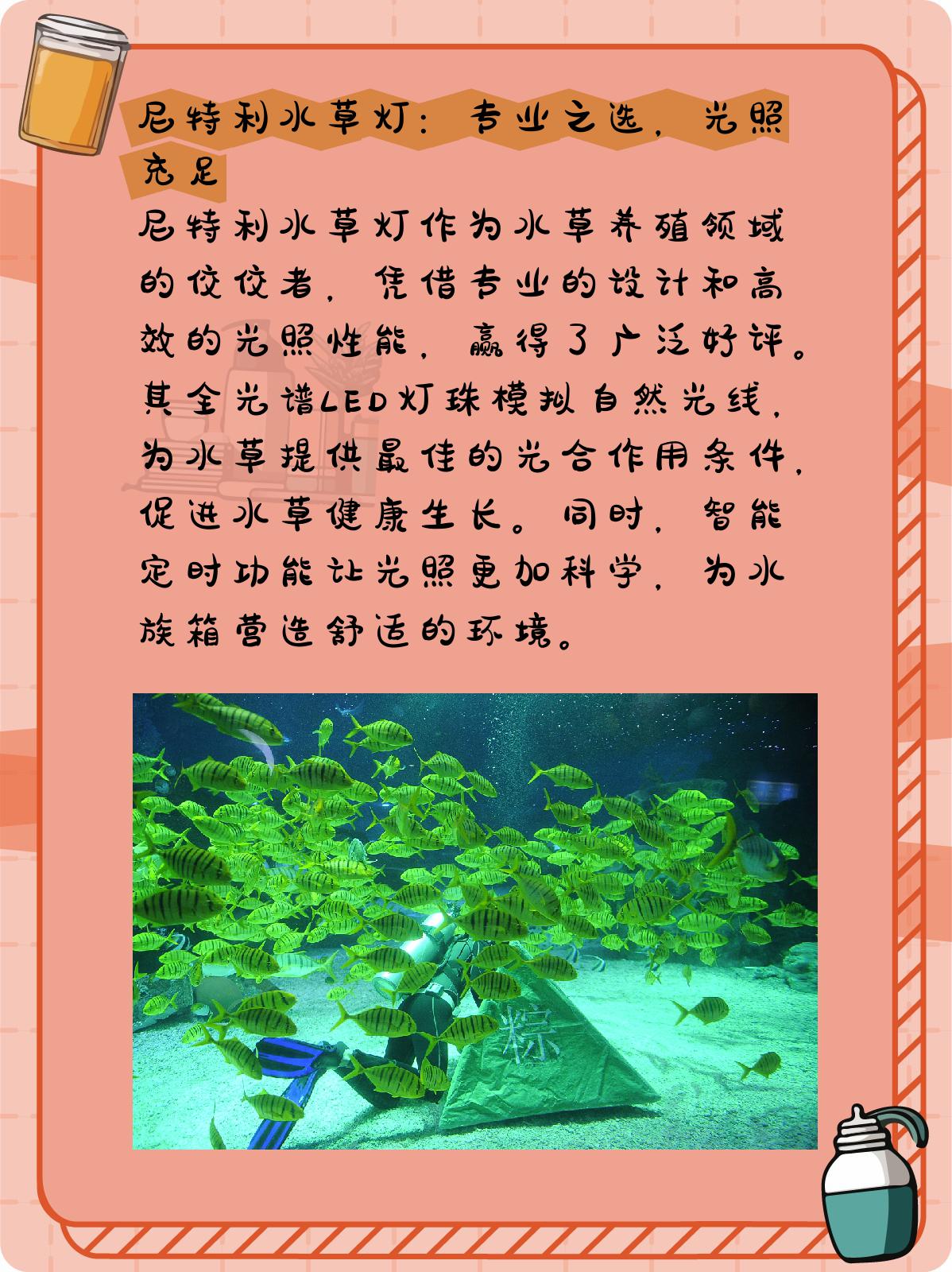 水草灯哪个牌子好