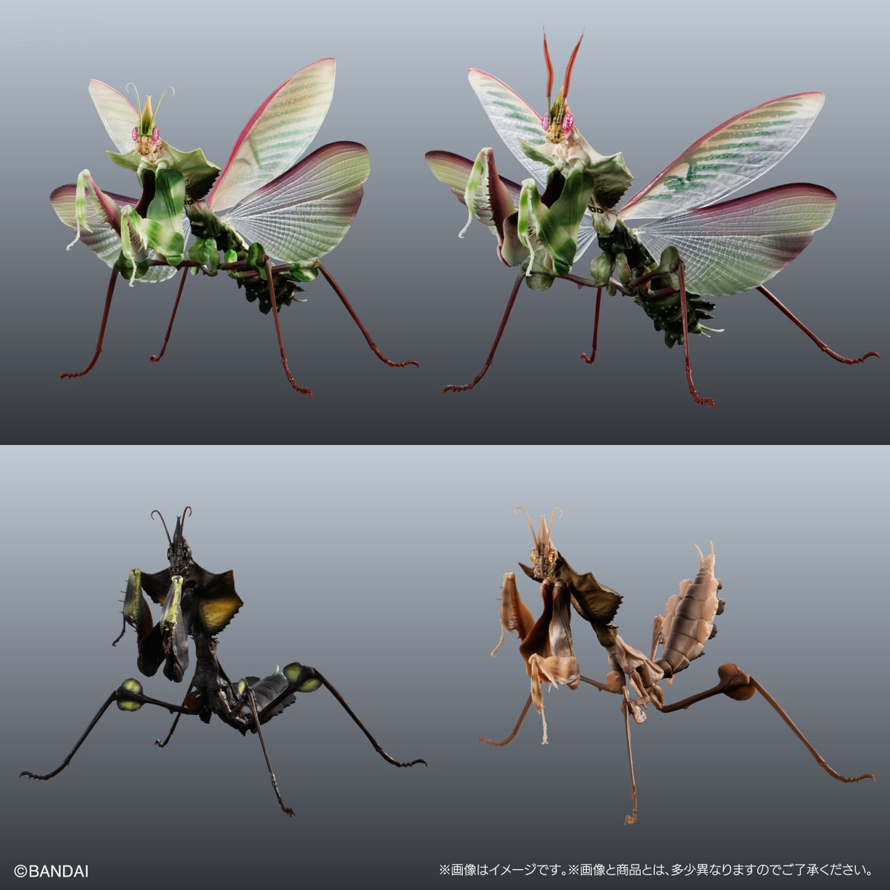 万代线上扭蛋 生物大图鉴advance 魔花螳螂     万代线上扭蛋 生物大