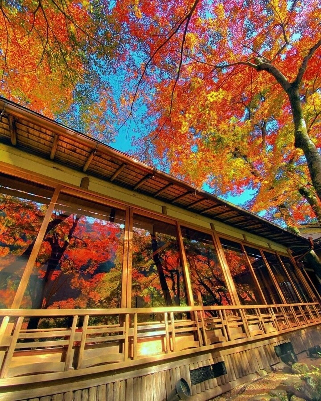 位于京都岚山的"岚山祐斎亭"是一家染色艺术画廊,它创造了一种独特的