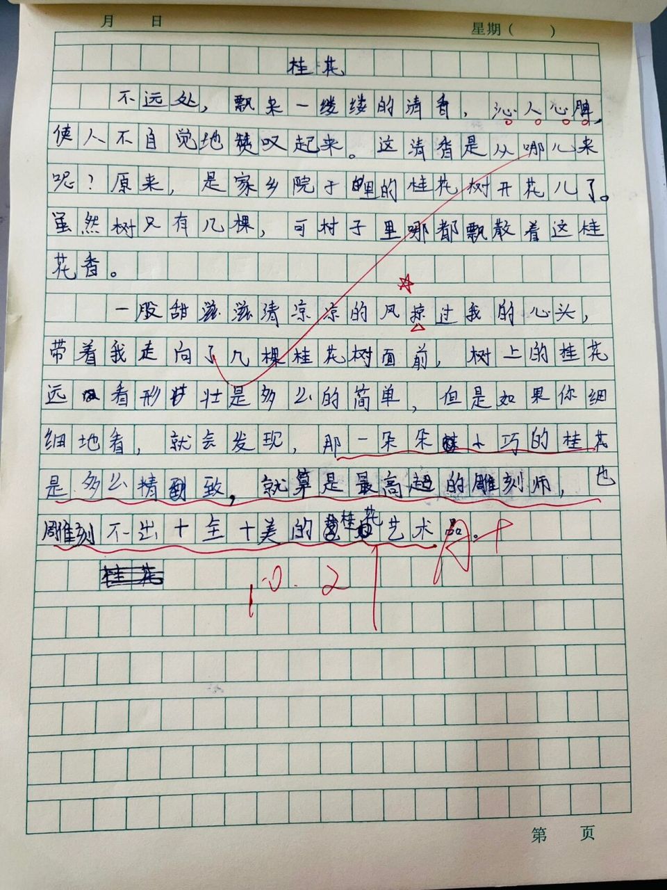 写观察桂花树的日记(写观察桂花树的日记300字)
