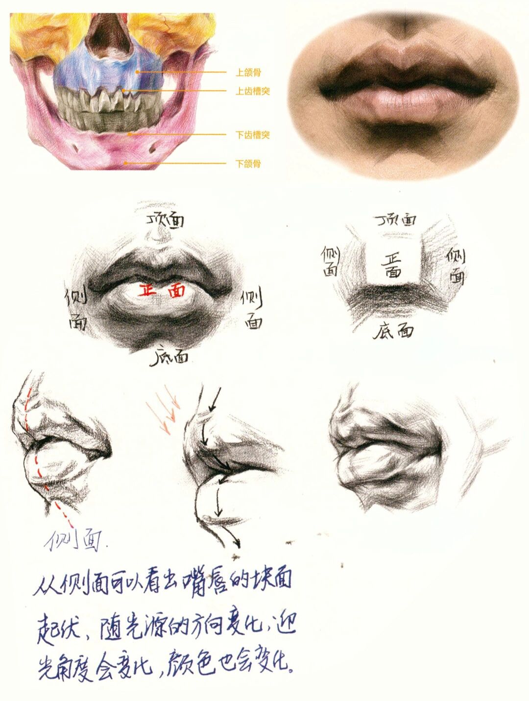 素描头像嘴巴画法步骤,超详细一篇就看懂