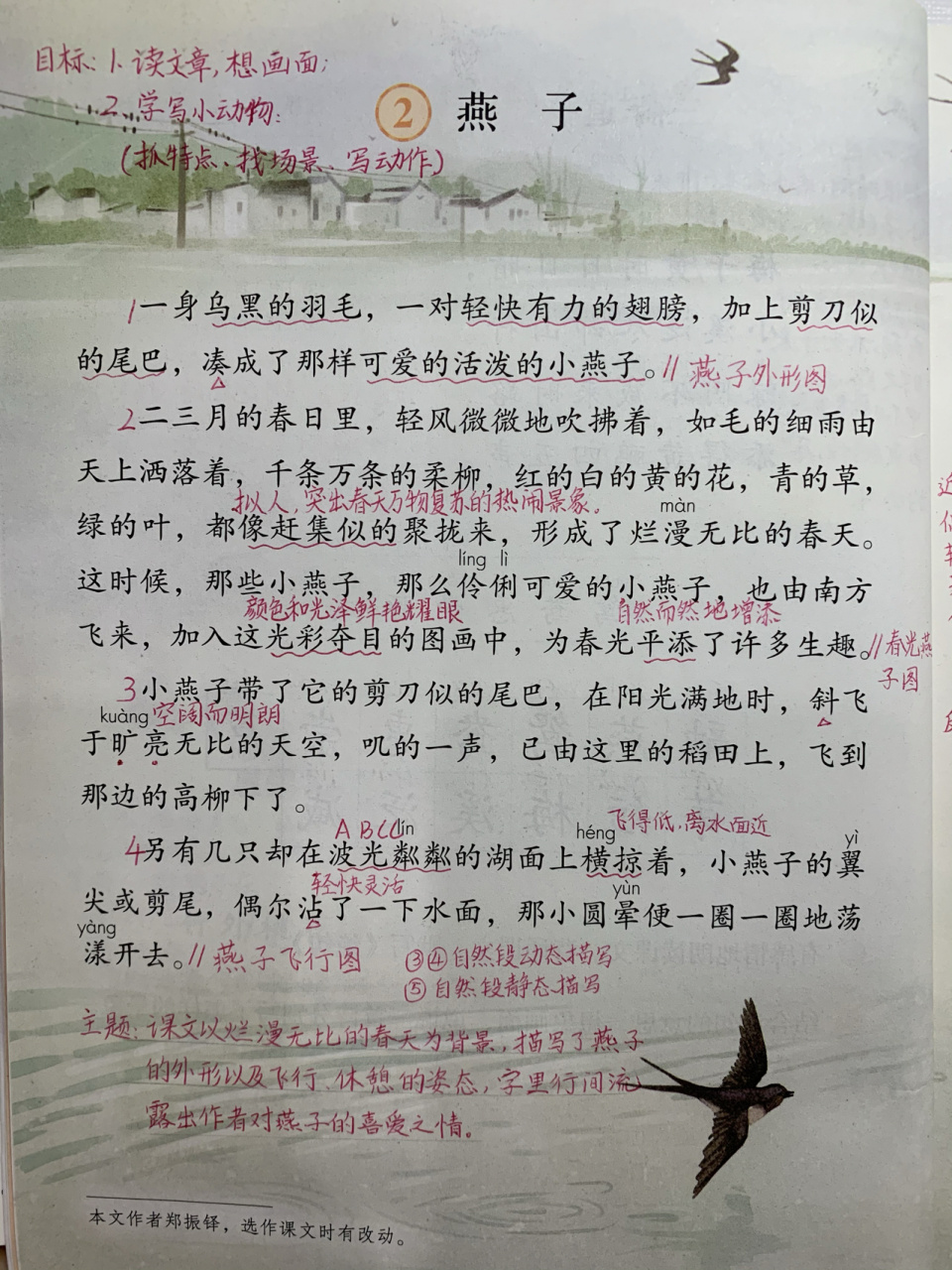 95三年级语文下册 《燕子》备课笔记 本课围绕单元语文要去"试着