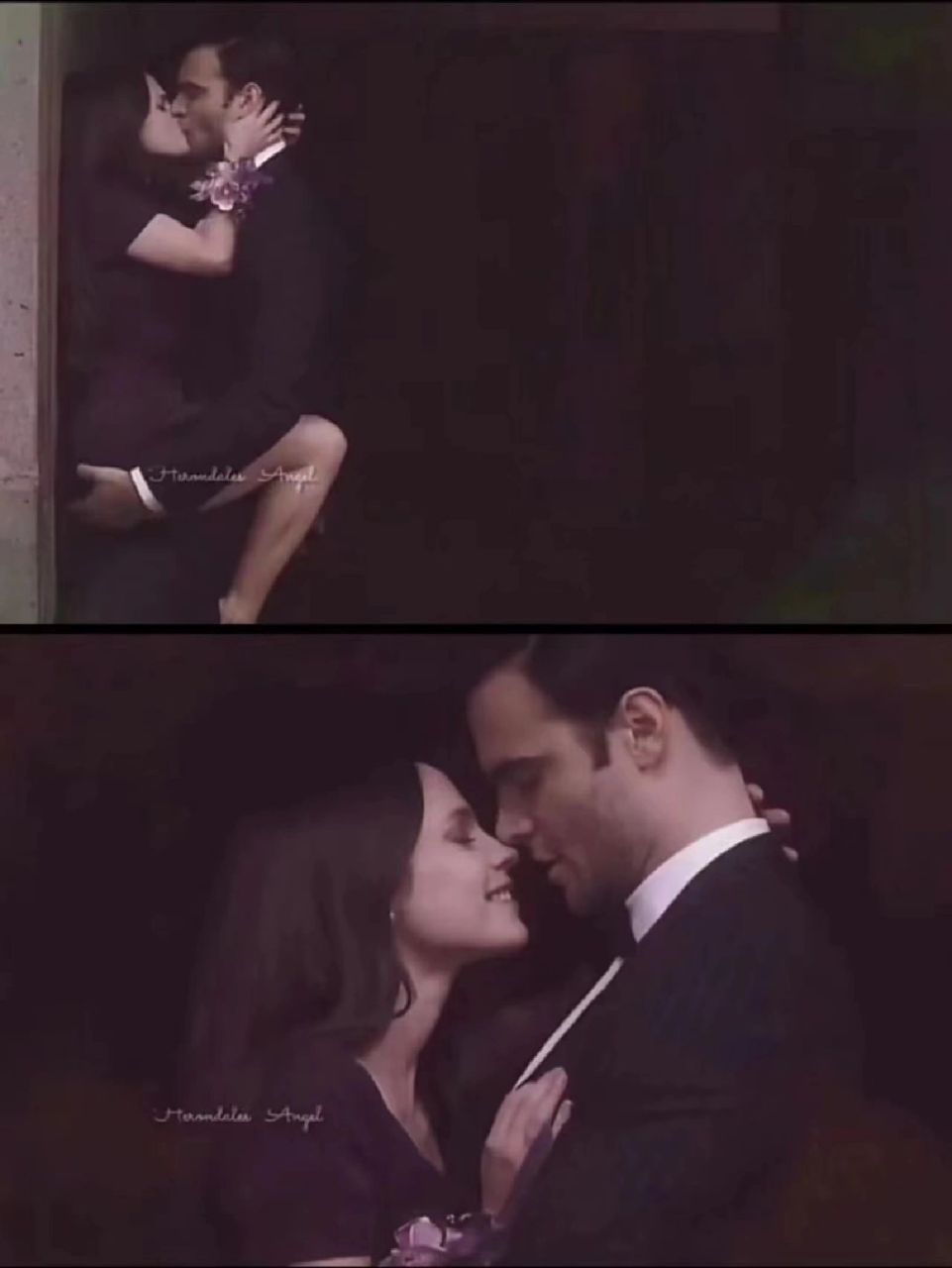 看完鲨疯了 加百列的地狱1到5季!