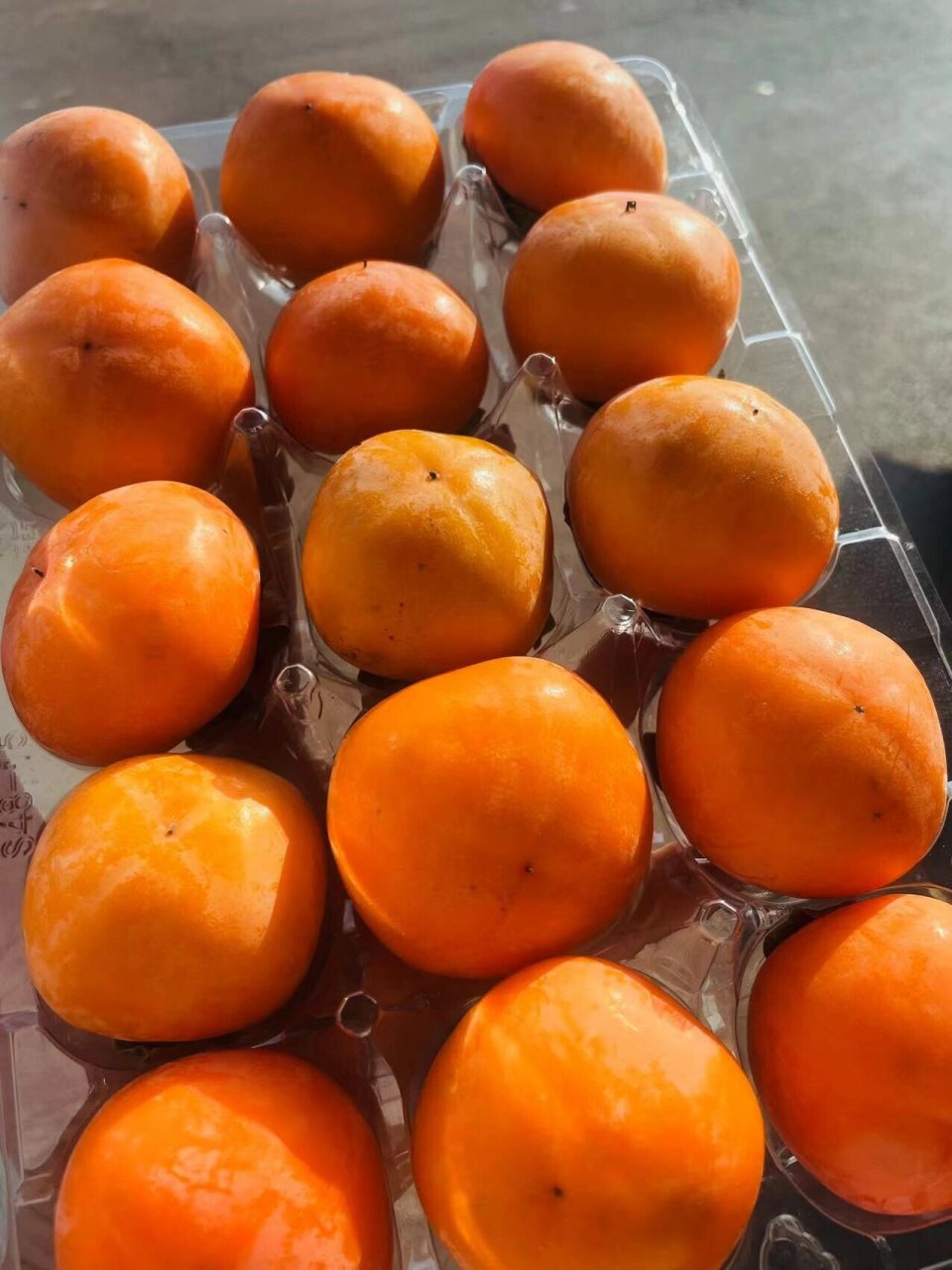 月黄珍珠柿】979797 个头不大,颜值颇高 成熟自然软化后的柿子