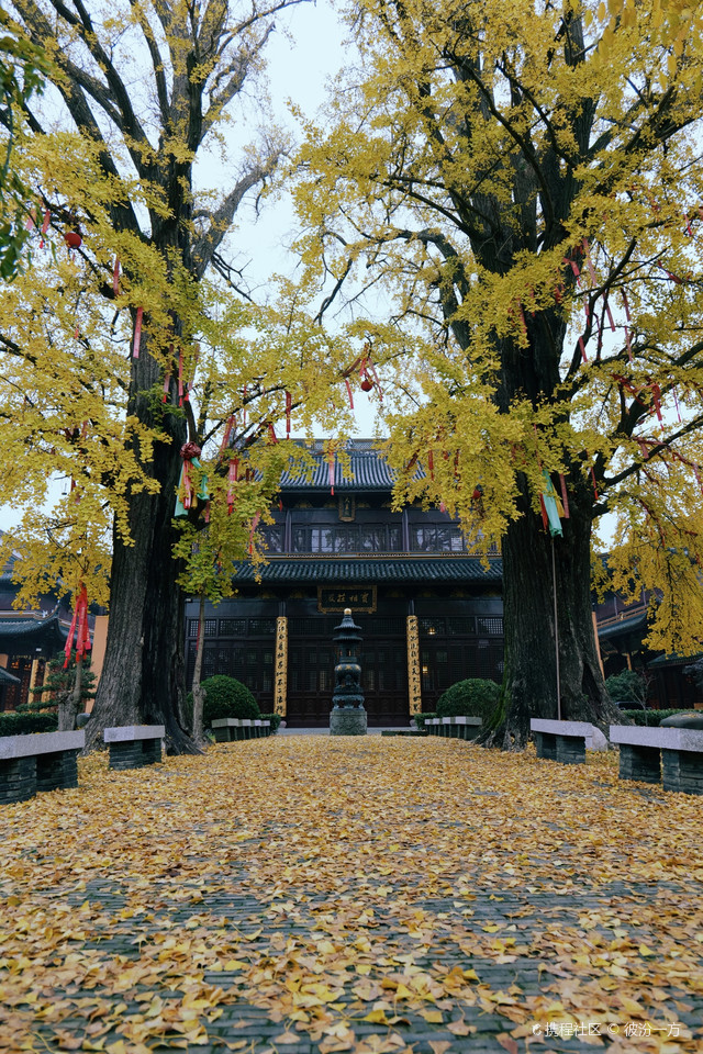 超强攻略_玩转上海庄严寺之行