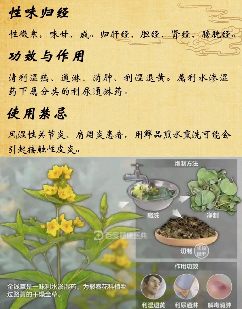 【中药名】金钱草 【采收加工】夏,秋季采收,拔取全草,除去杂质,晒干