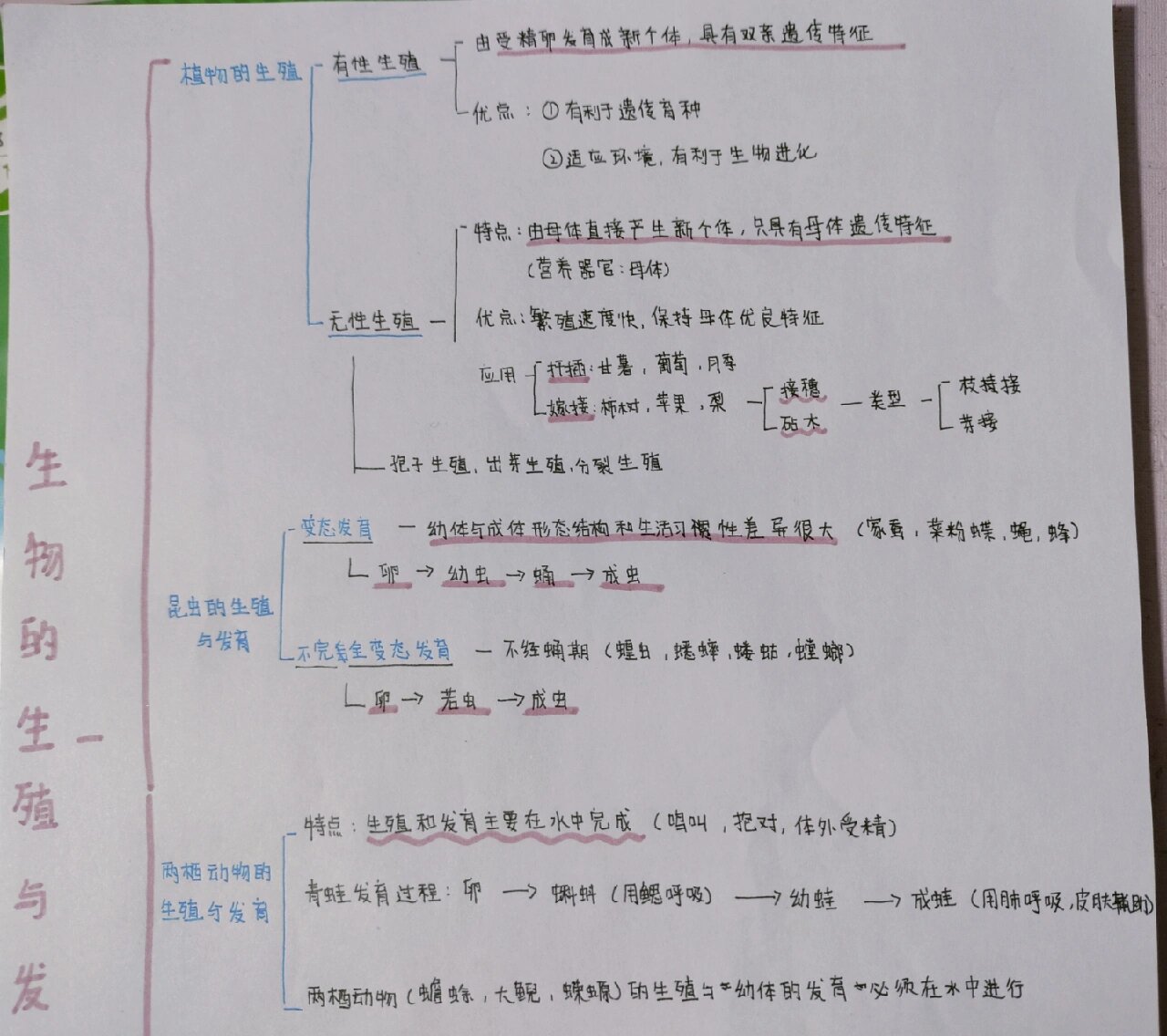 八下思维导图第一单元图片