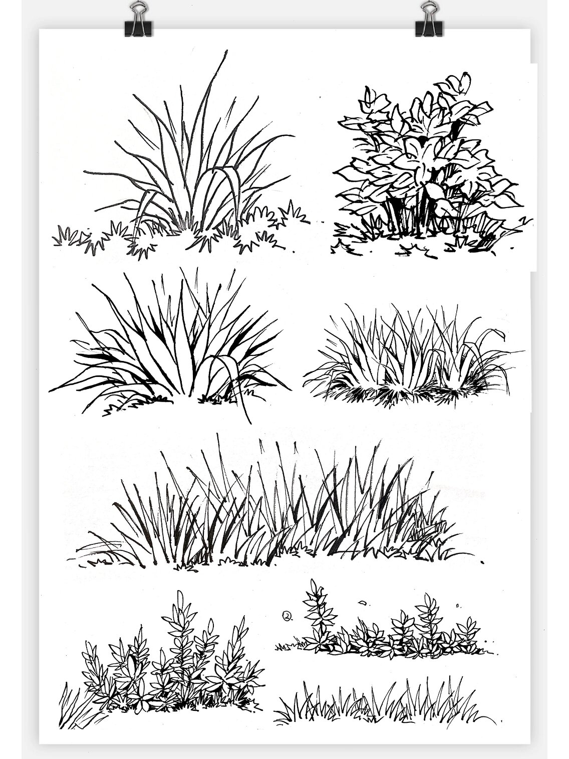 考研效果图必备!景观植物草!