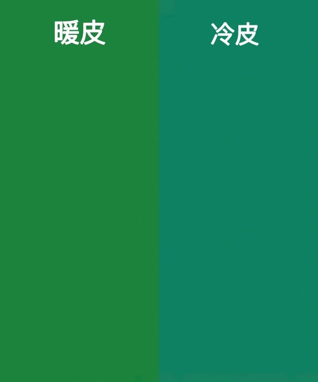 冷暖皮测试 和我一样一直弄不清自己是冷皮还是暖皮的可以得到答案了.