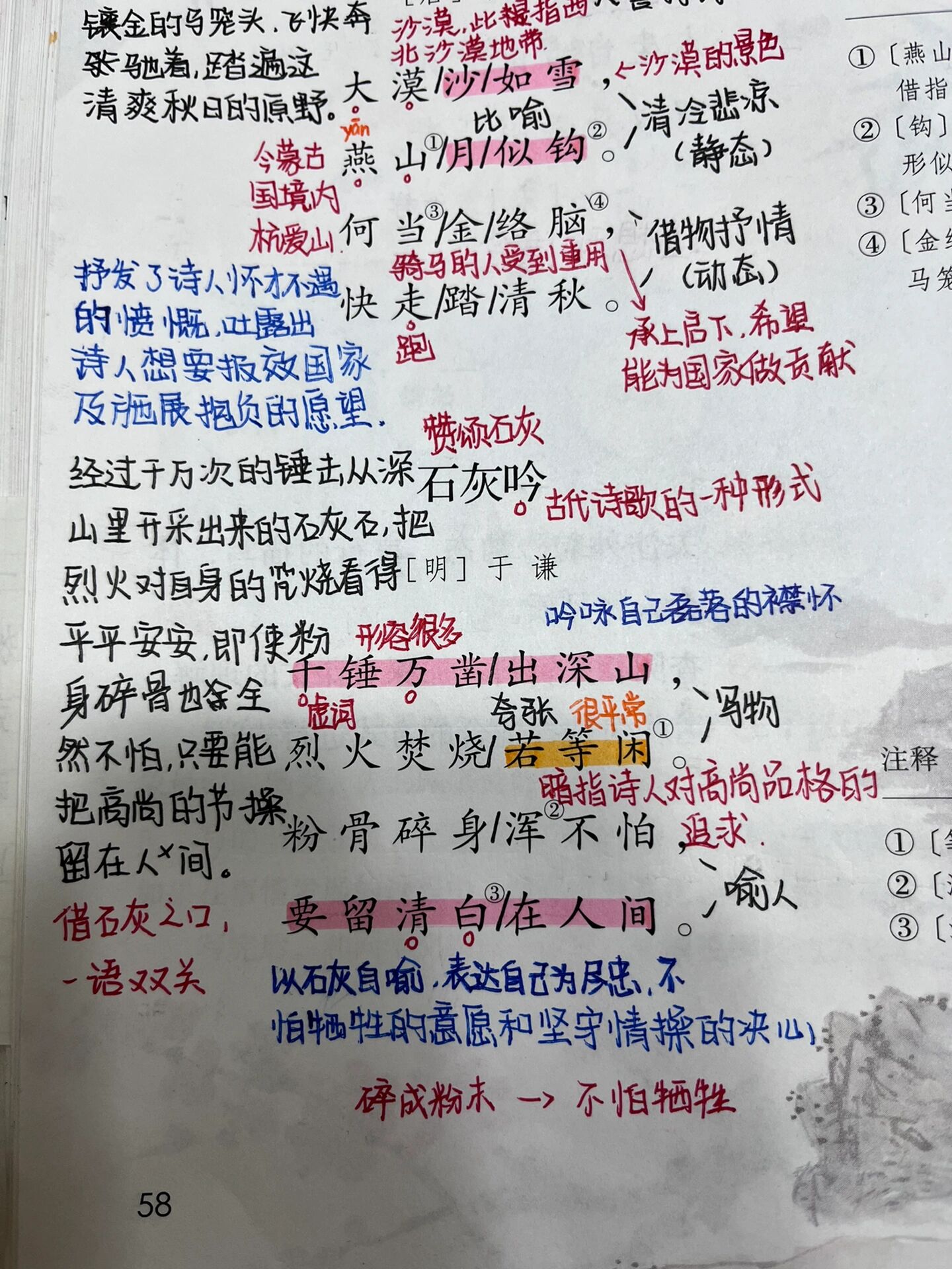 六年级下册第十课笔记图片