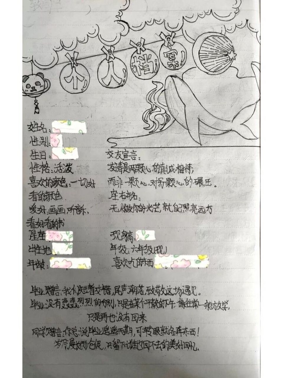 个人档案怎么画简笔画图片