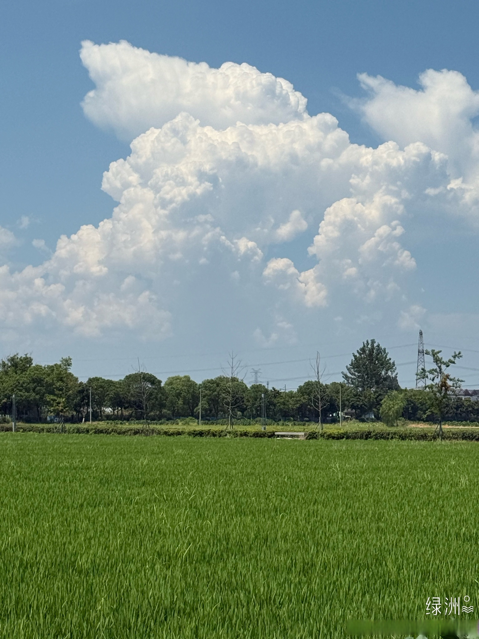夏季的乡村风景 这是夏天在科同村随拍的几张乡村田