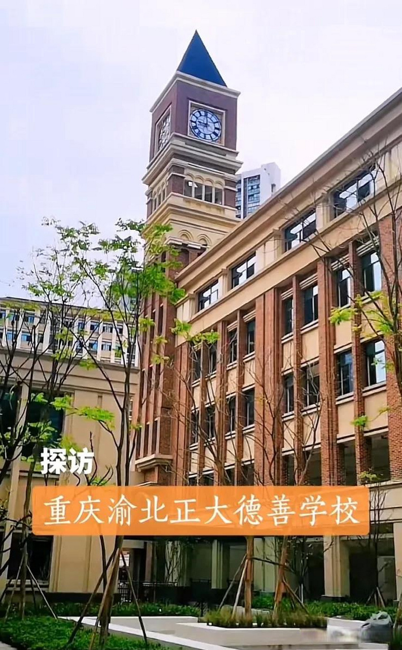 【重庆渝北正大德善学校何去何从?