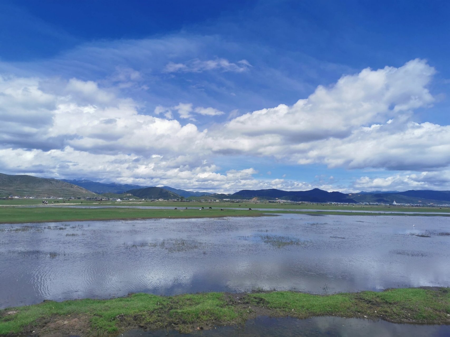 香格里拉纳帕海-公交车环湖最全攻略 关于公交车 红太阳广场发车的12