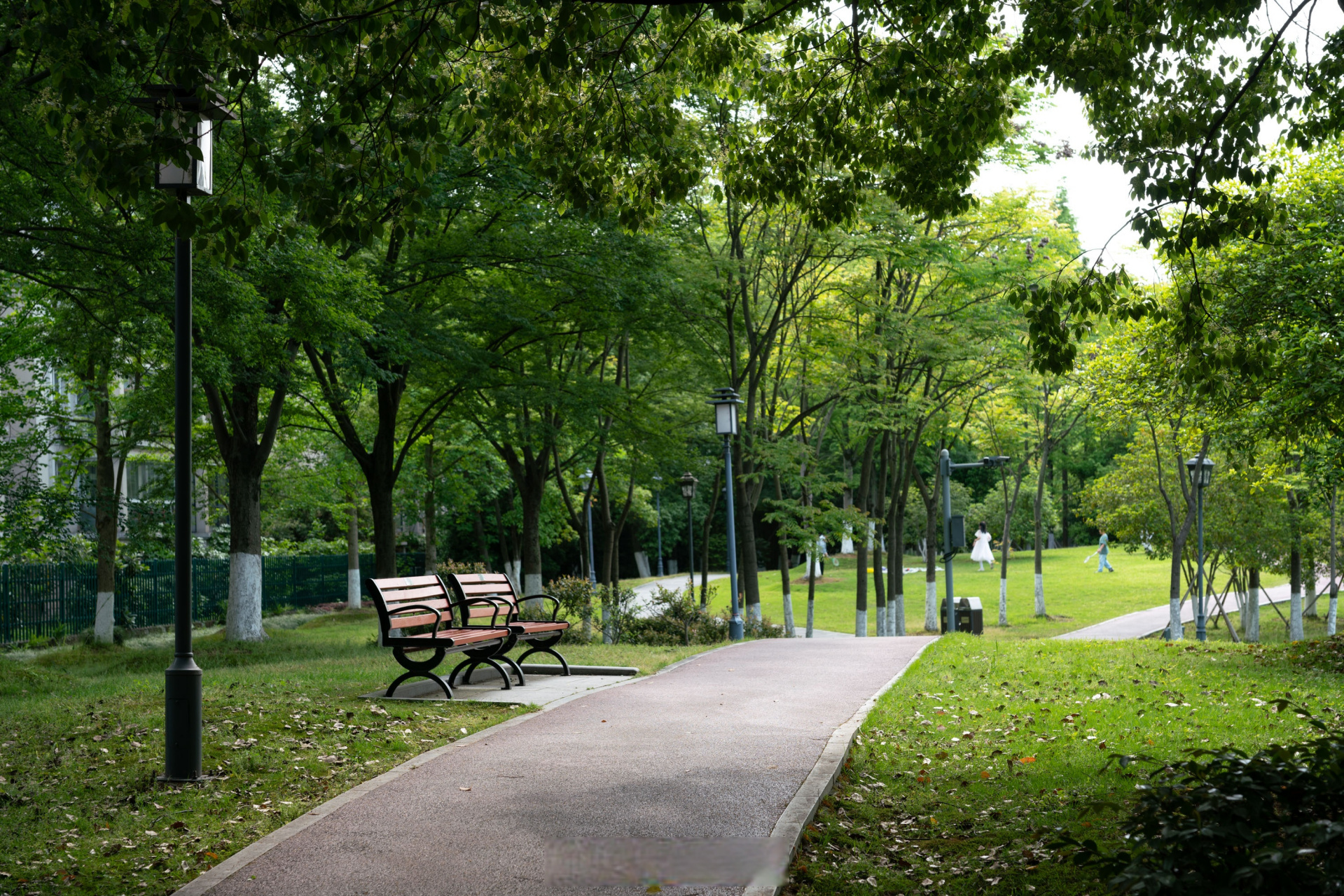 【美丽小区"旧貌"焕"新颜"】#德清视角# 德清县武康街道以城市精细