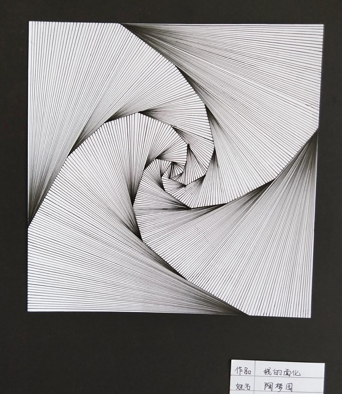 高分作业 平面构成作业题目分别是点的线化2张,线的面化2张,线的练习