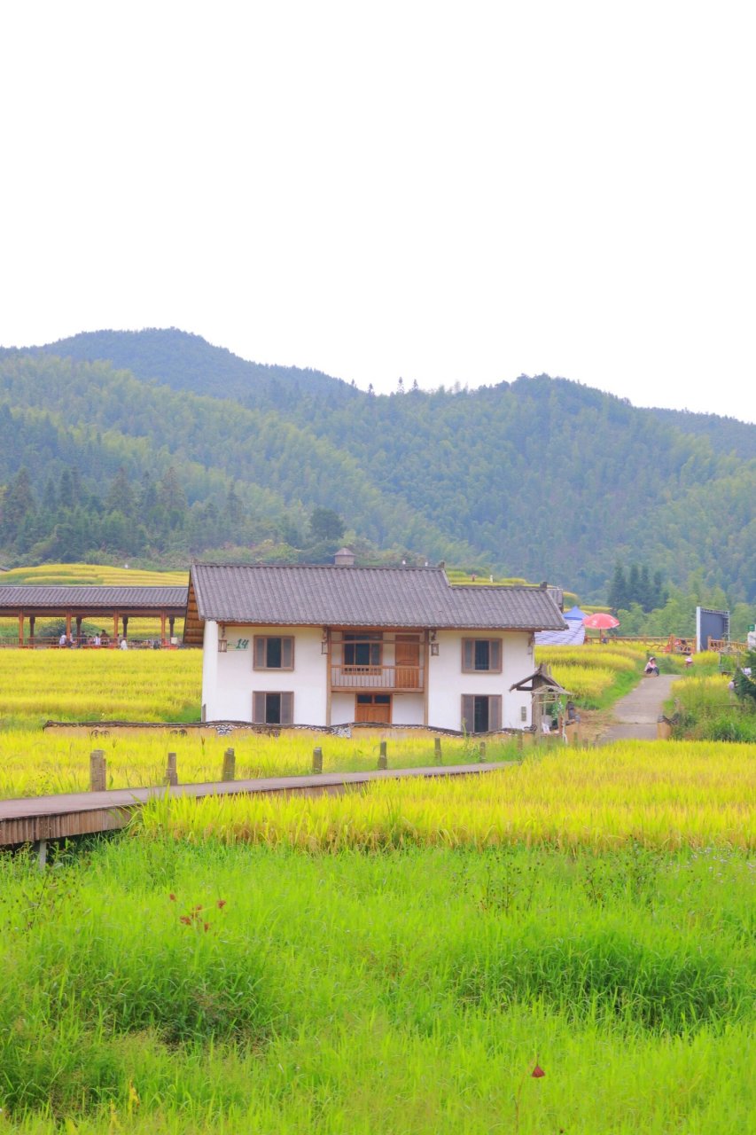 "橙黄橘绿,乡村盛景"——崇义上堡梯田 【90上堡梯田入选"橙黄橘绿