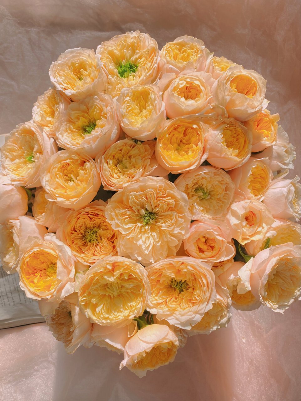 玫瑰和爱一样温柔 |网购鲜花 多头黄蝴蝶 养了很多次黄蝴蝶,这次最