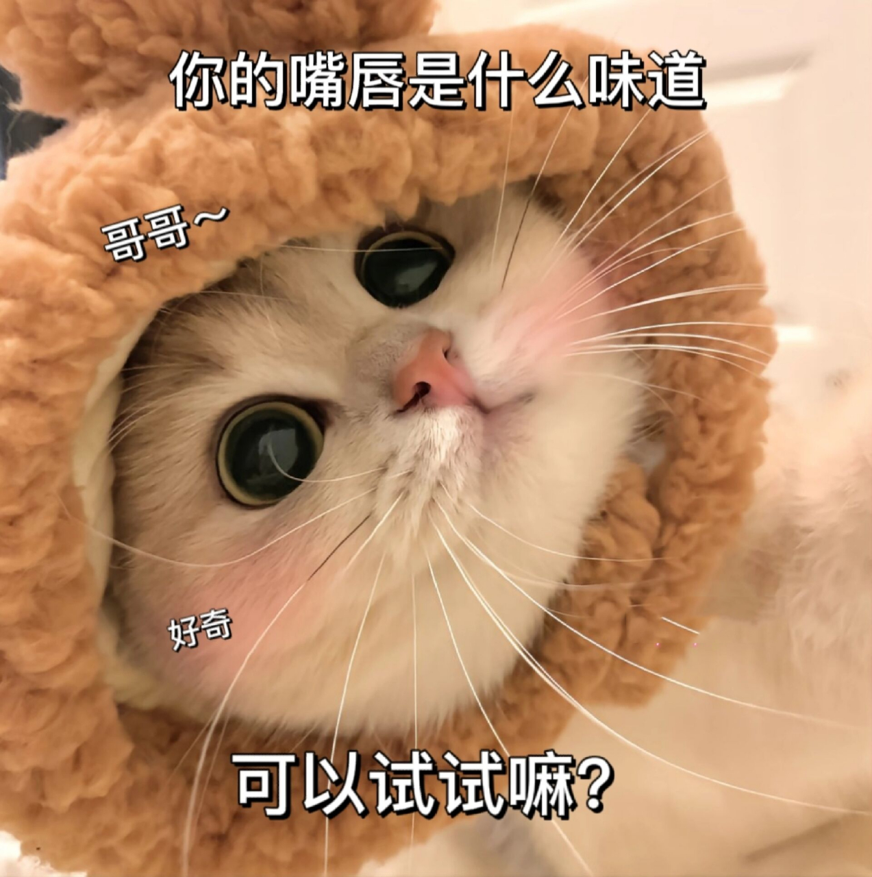 适合发给对象的表情包 侵权删