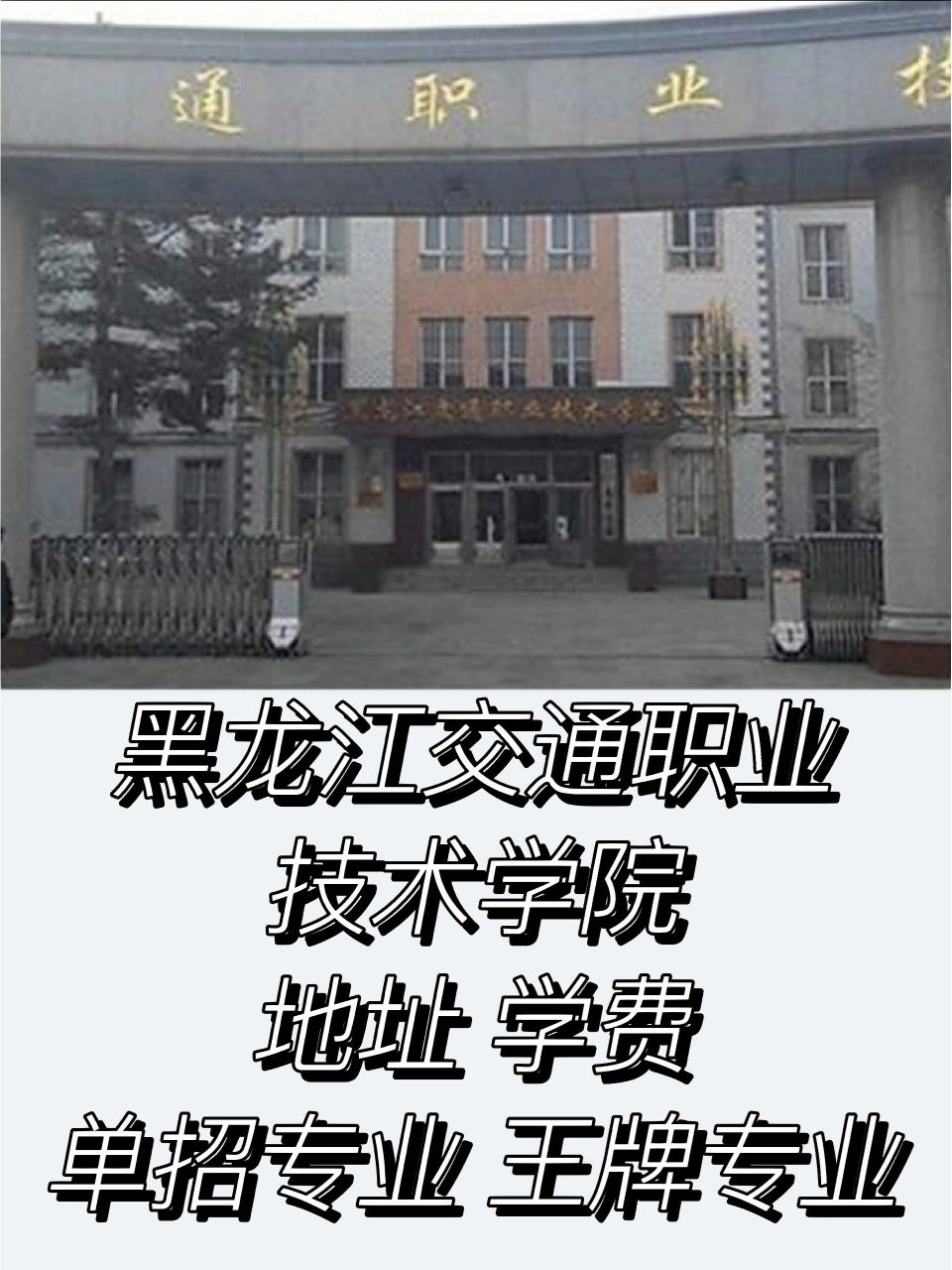 黑龙江交通职业技术学院单招专业及王牌专业