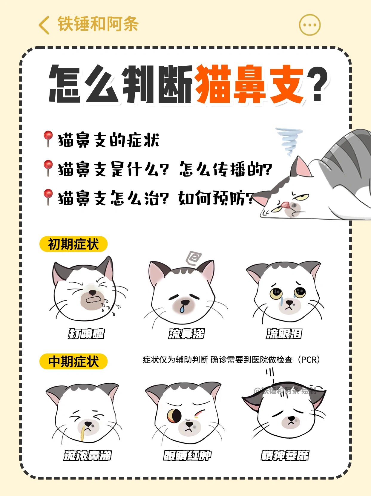 别忽视猫咪打喷嚏流涕咳嗽04可能是猫鼻支6015