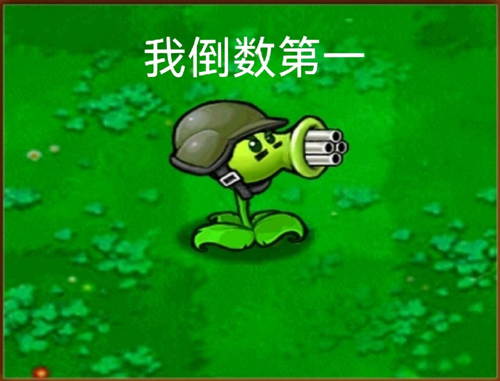 机枪射手: 紫卡植物里最弱的就是机枪射手,虽然冒险模式里很强,可单体