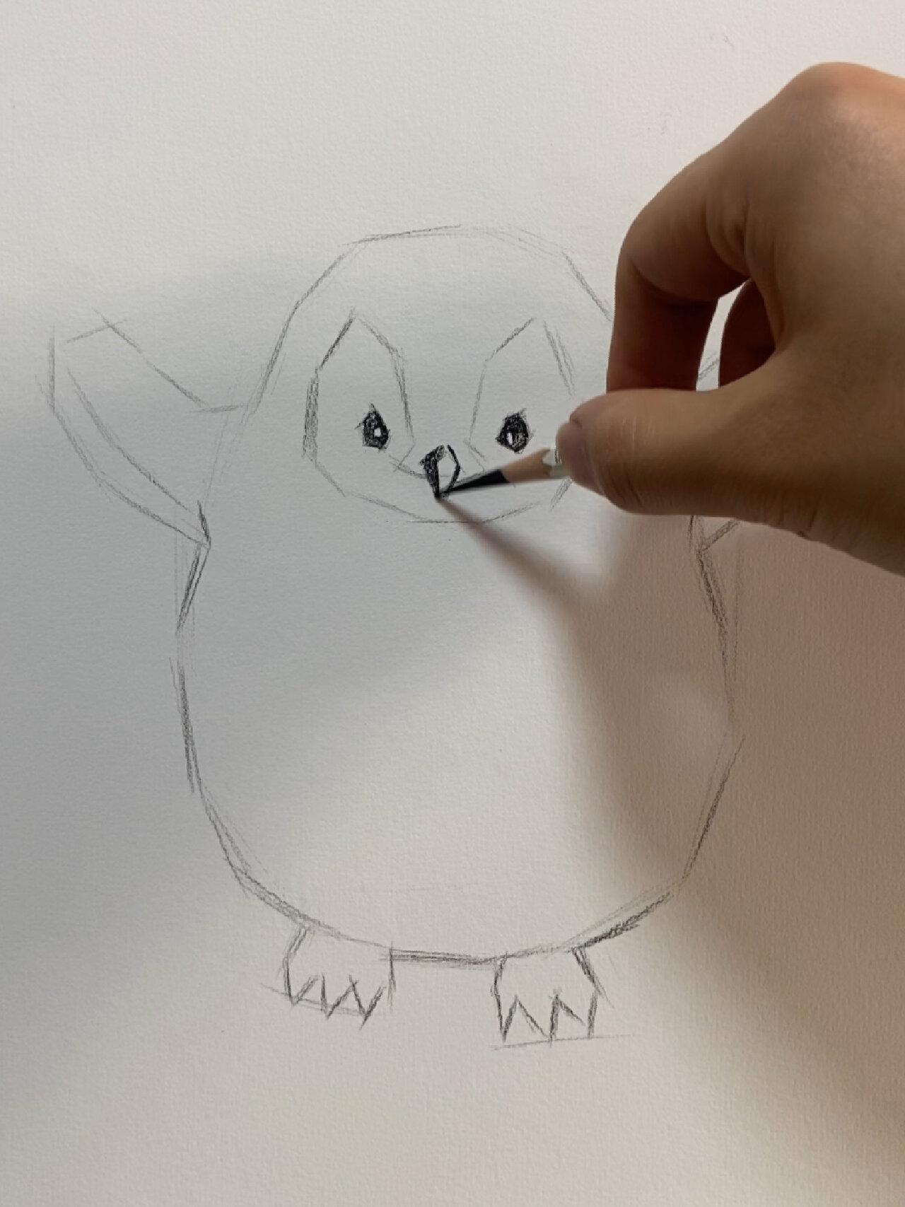 素描动物教学(企鹅篇)附详细过程图