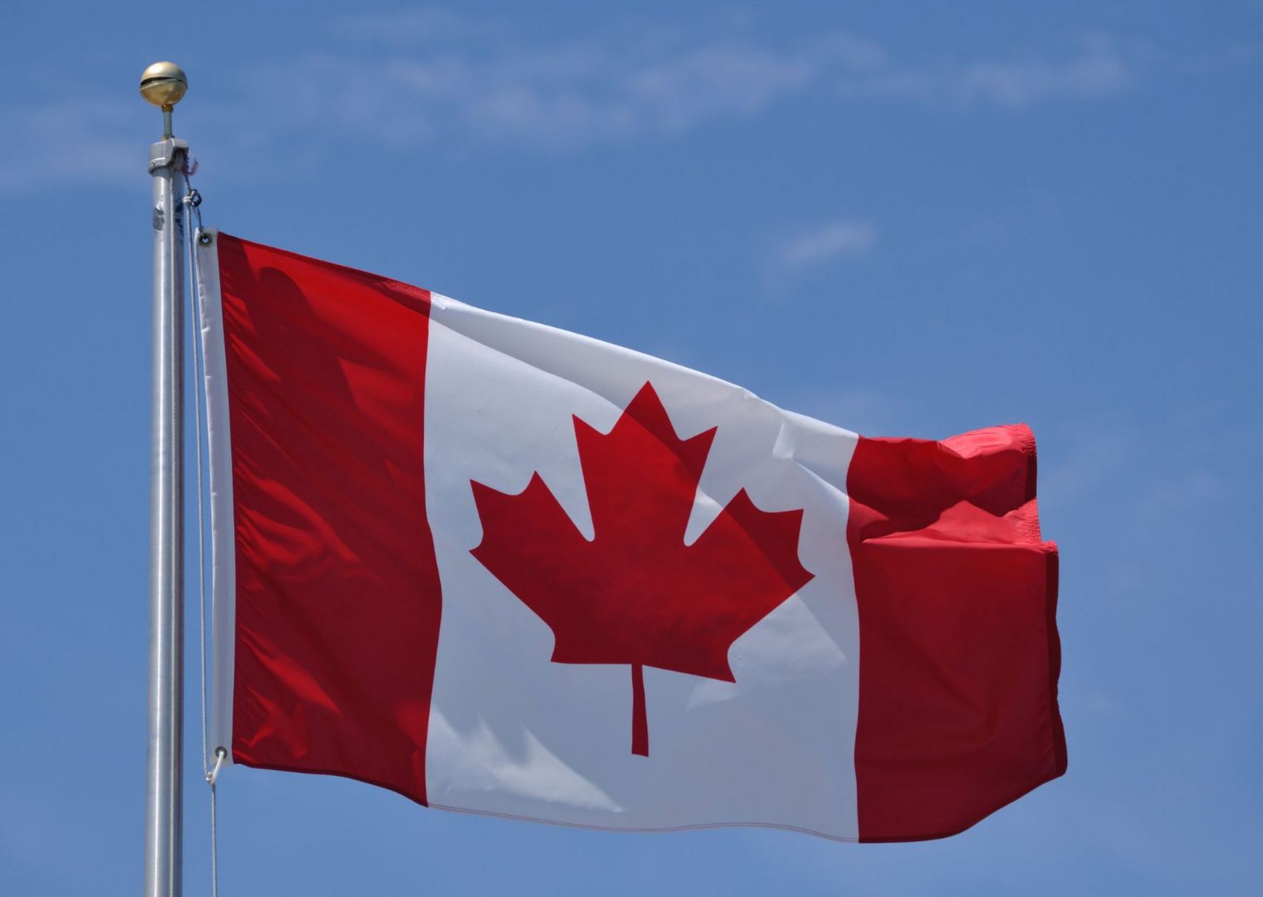 加拿大国旗图片 加拿大国旗(英语:flag of canada,法语:le drapeau du