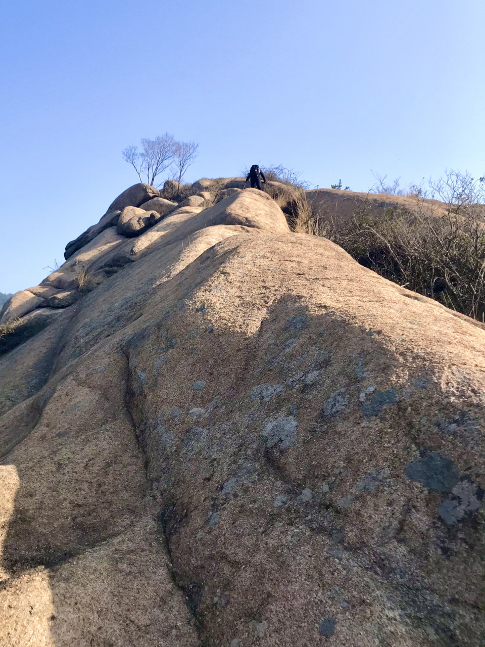 周末去哪儿?去号称小华山的武汉大顶山徒步 🐸活动内容(以实际为准)