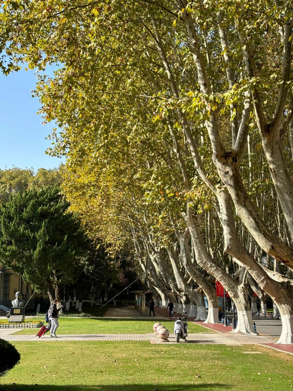 河海大学(西康路校区) 上周有个考试,第一次去了河海大学西康路校区.