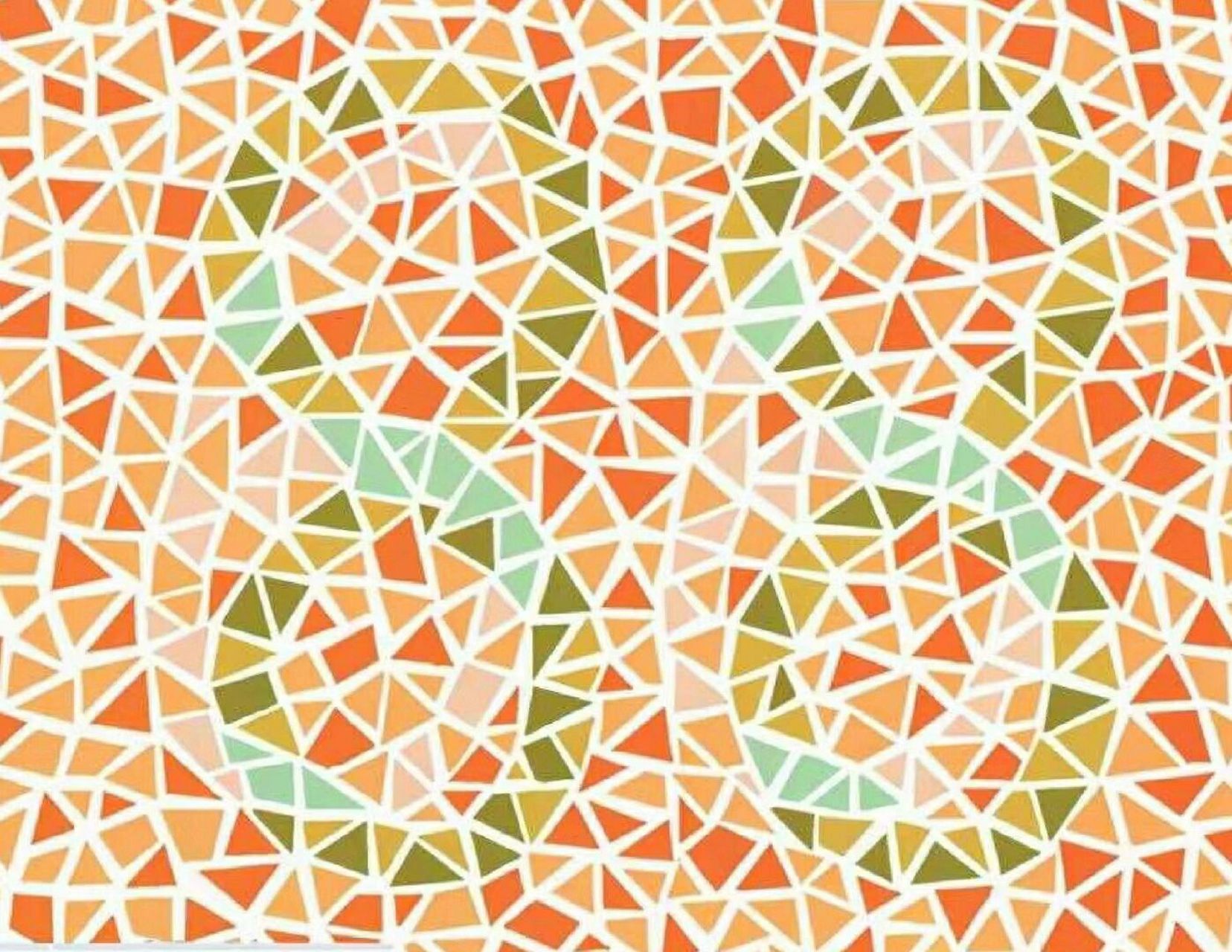 车管所公认的色弱测试图～ 驾校必考 你看对了吗?