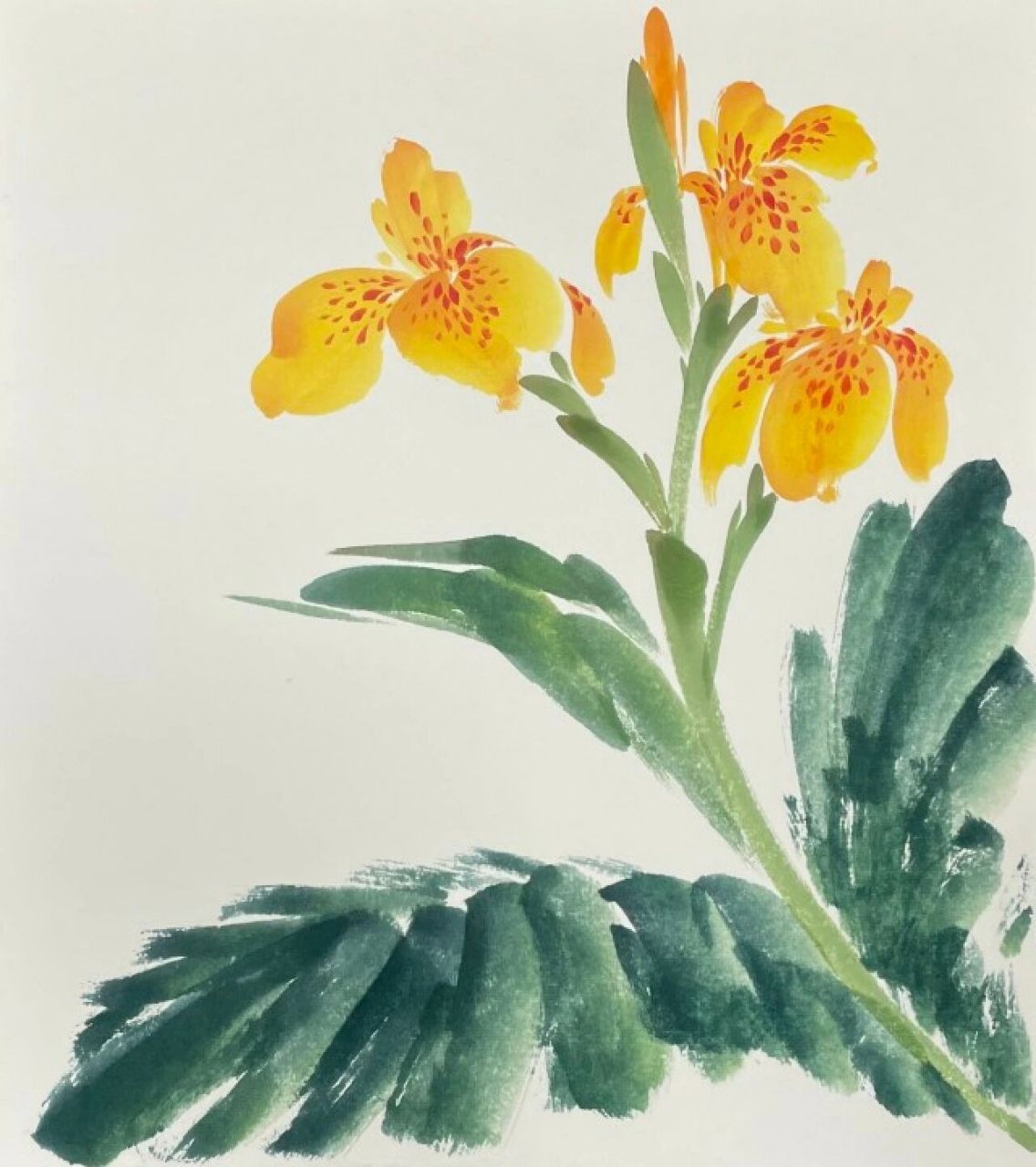 《梧桐夜雨美人蕉》国画教程步骤图-笔记 《梧桐夜雨美人蕉》: 1.