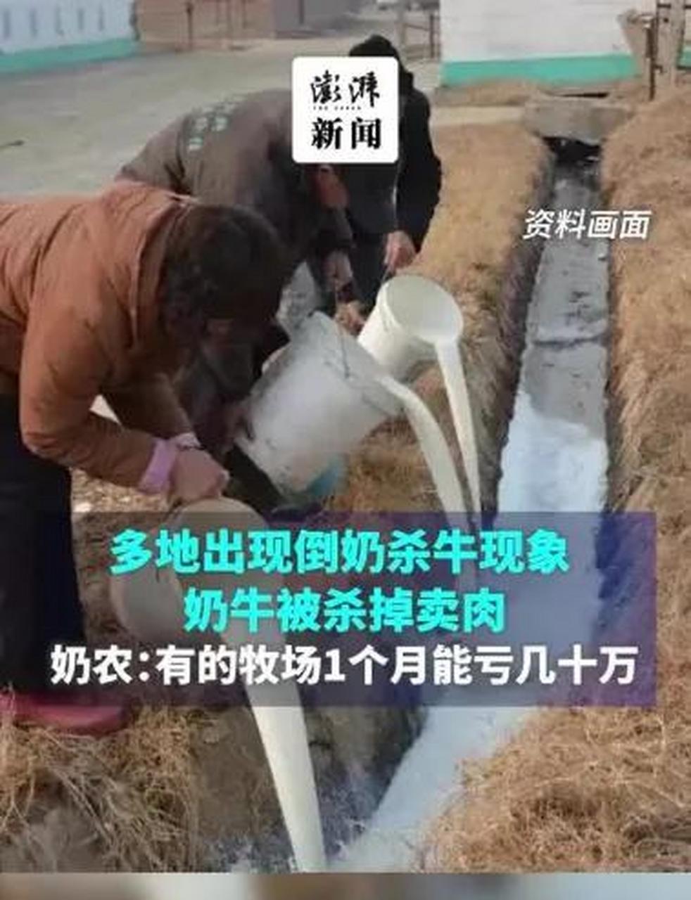 1930 年,美国经济危机,美国人倒掉牛奶.