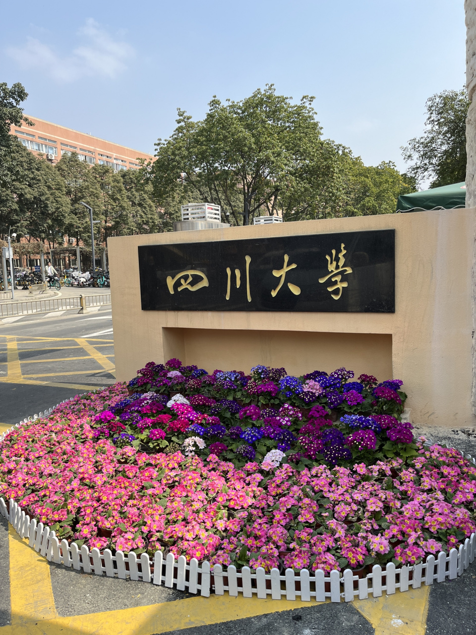 大学门口照片图片