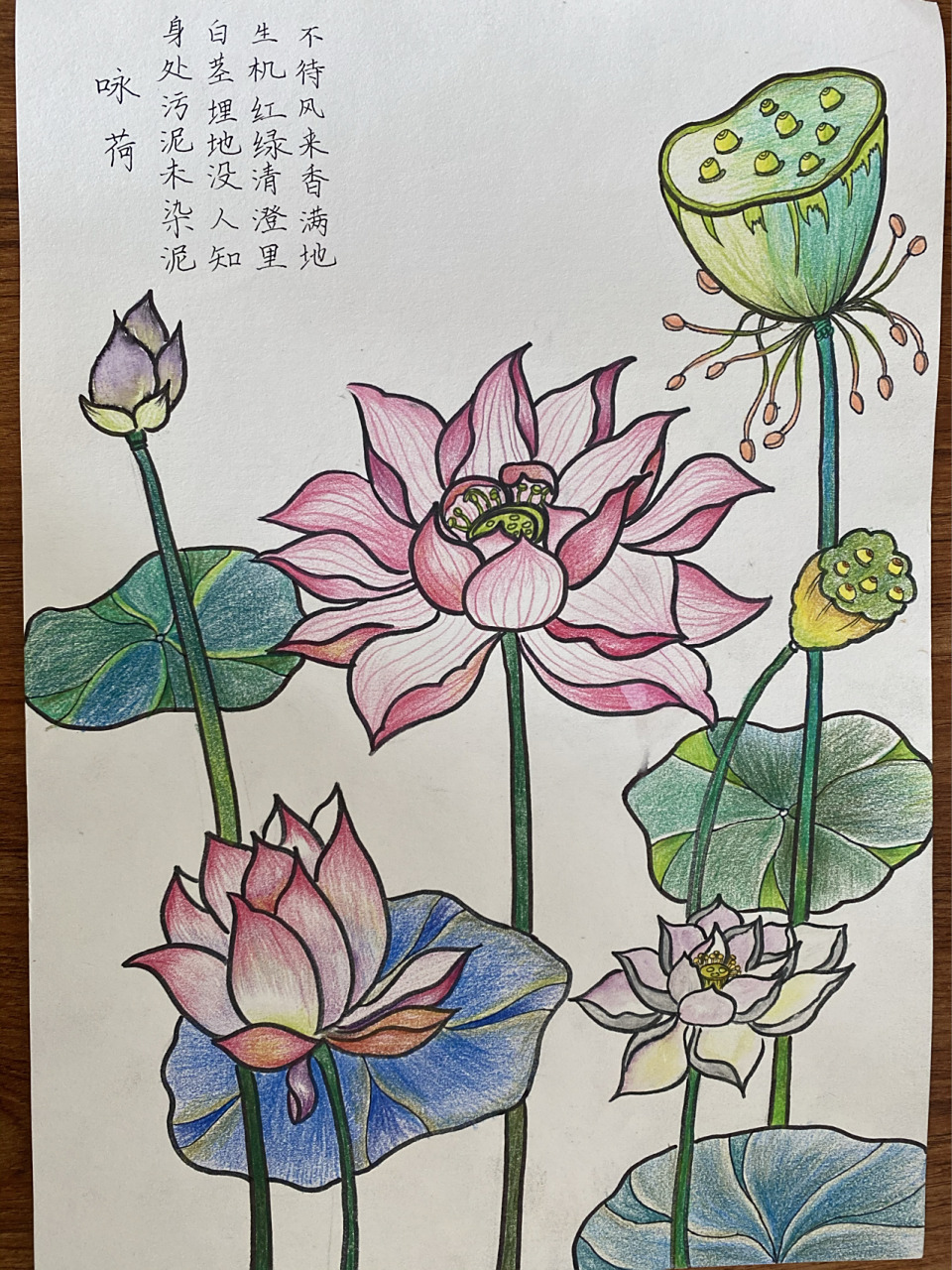 清正廉洁荷花主题绘画 临摹