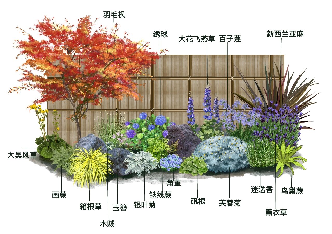 花境搭配||小庭院景观