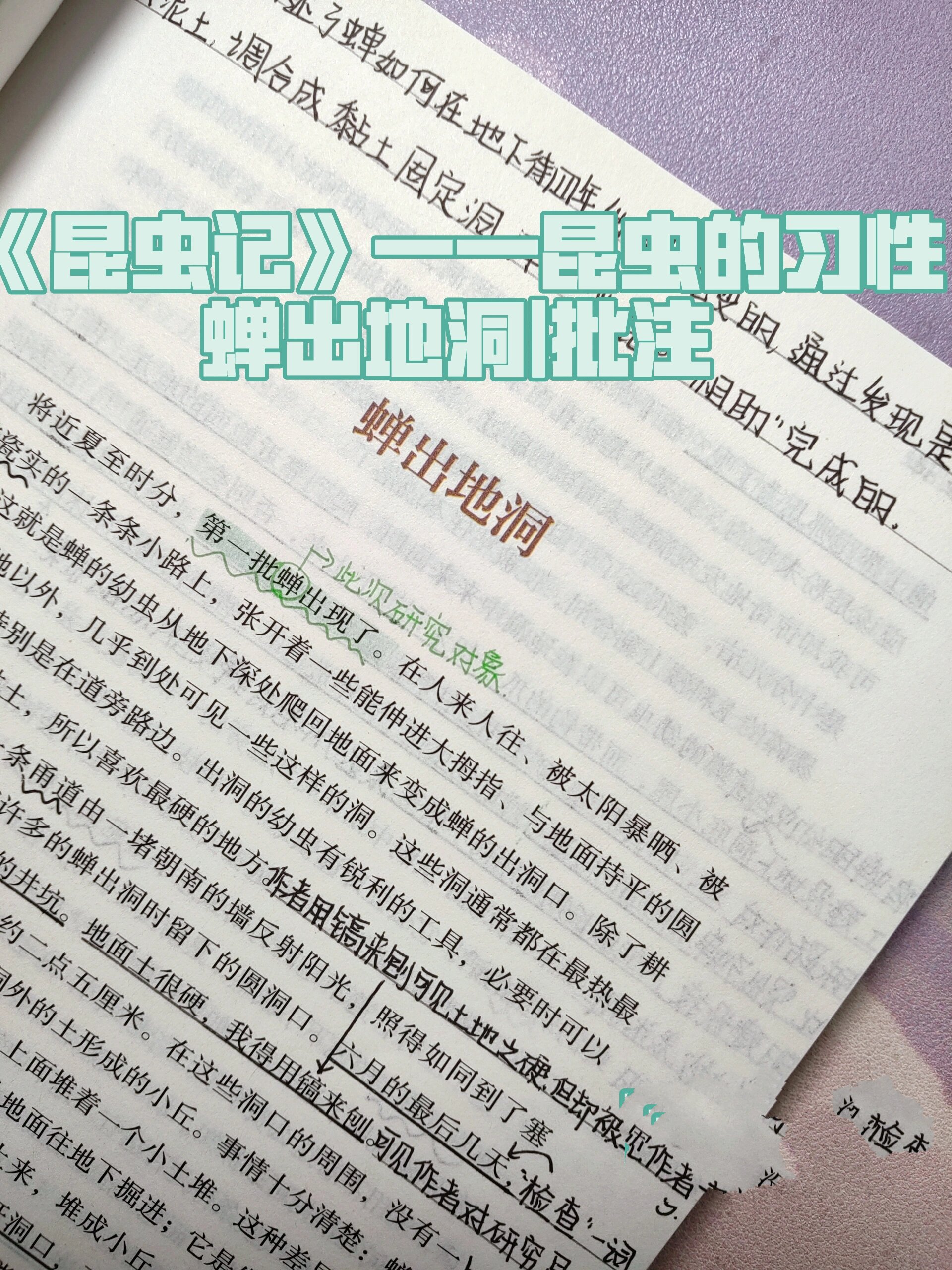 《昆虫记》——昆虫的习性:蝉出地洞|批注