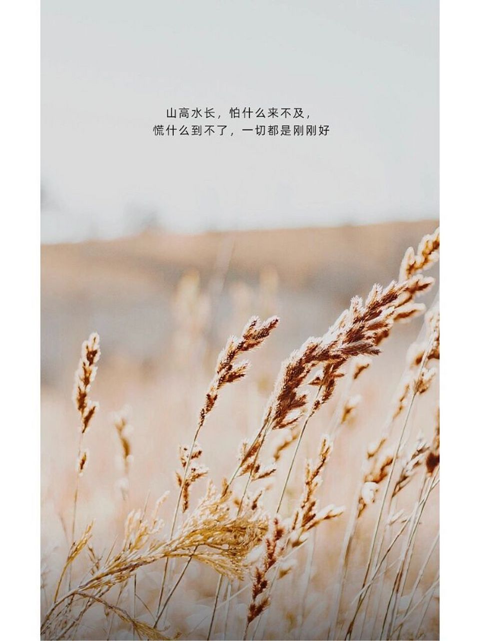 好事多磨终成事,佳期难得自有期!